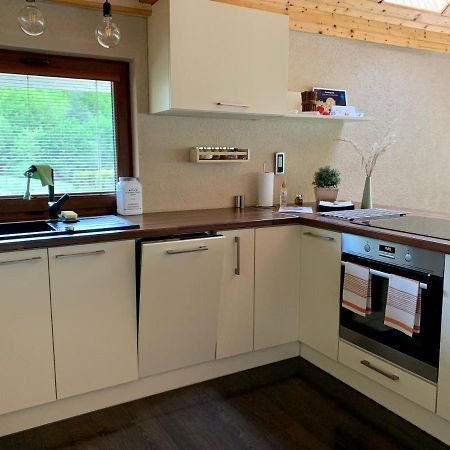 Grand Spa Holiday Home Sklené Teplice 外观 照片