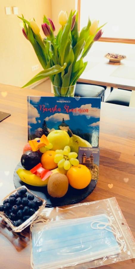 Grand Spa Holiday Home Sklené Teplice 外观 照片