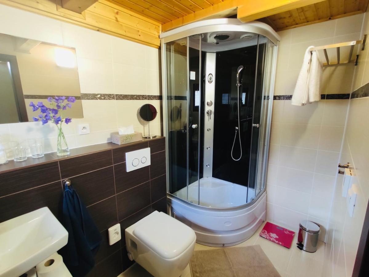 Grand Spa Holiday Home Sklené Teplice 外观 照片