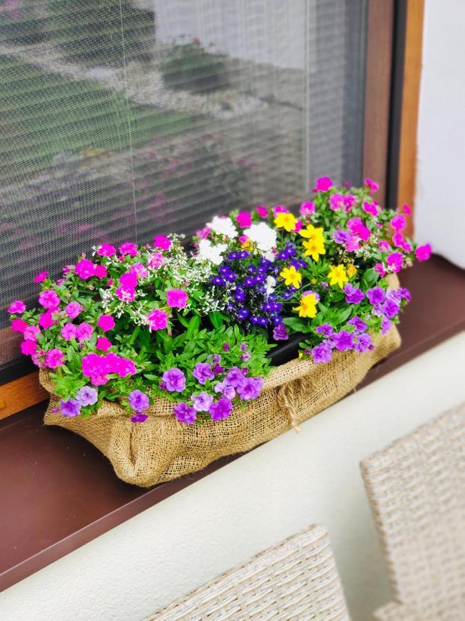 Grand Spa Holiday Home Sklené Teplice 外观 照片
