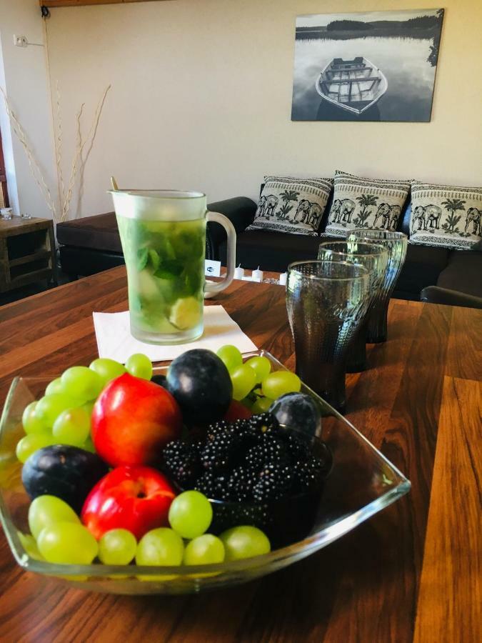 Grand Spa Holiday Home Sklené Teplice 外观 照片
