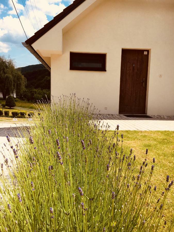 Grand Spa Holiday Home Sklené Teplice 外观 照片