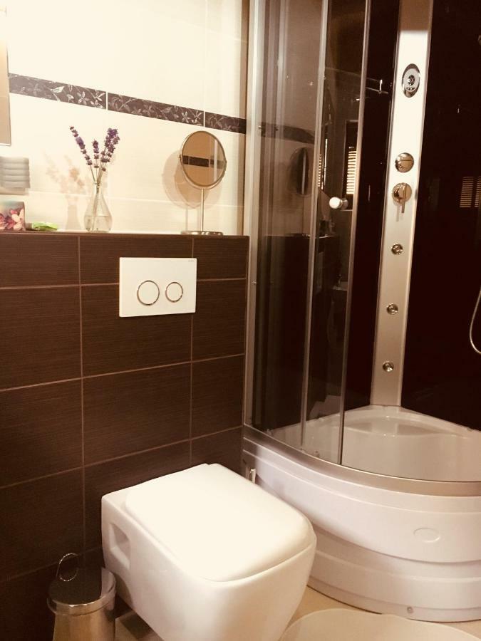 Grand Spa Holiday Home Sklené Teplice 外观 照片