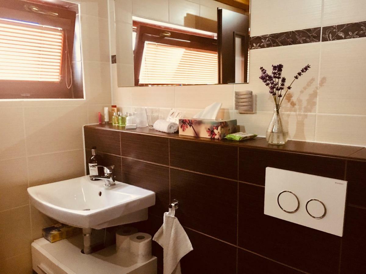 Grand Spa Holiday Home Sklené Teplice 外观 照片